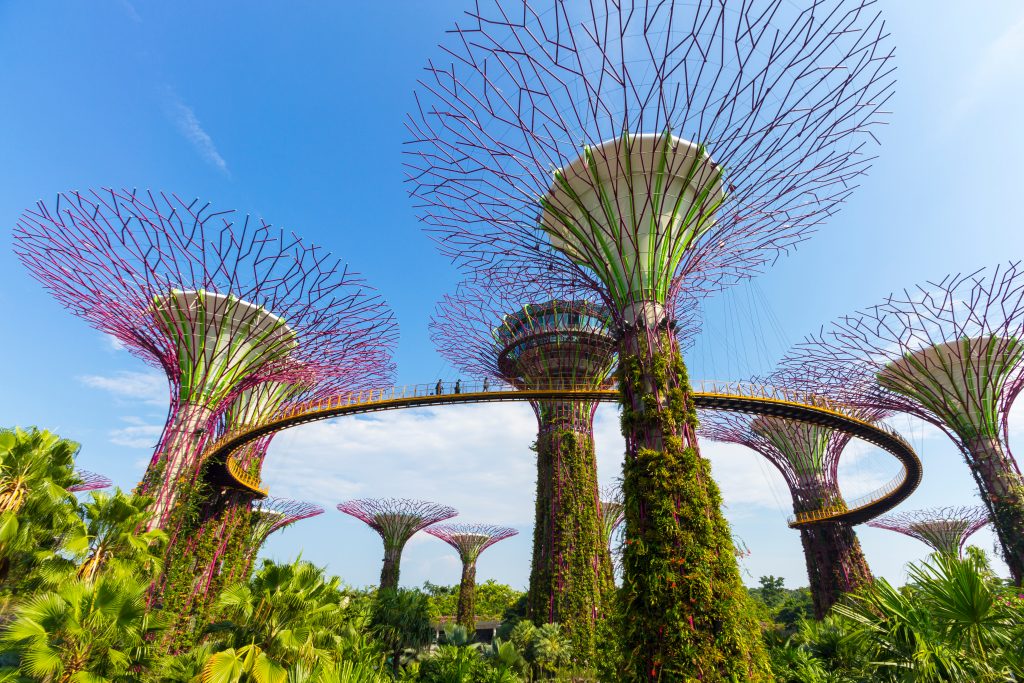 singapore botanic gardens oneworld travel